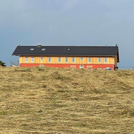 Pension Biohof Kluegel Freital Bagian luar foto